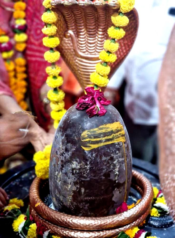 facebook 1762537066538 7392616268330555658